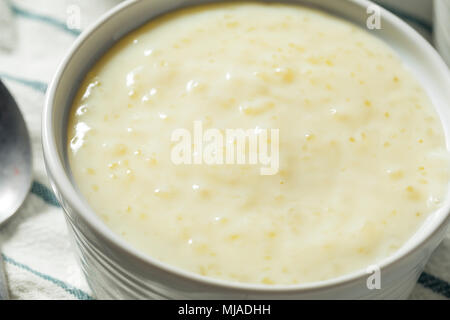 Maison sucré dans un bol de pudding de tapioca Banque D'Images