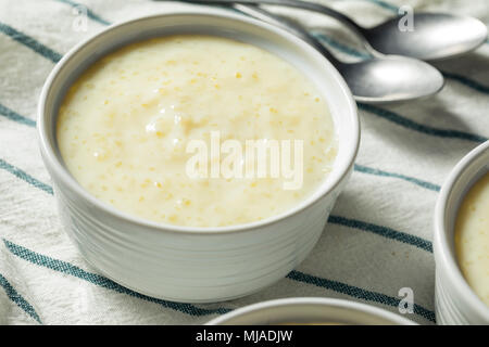 Maison sucré dans un bol de pudding de tapioca Banque D'Images