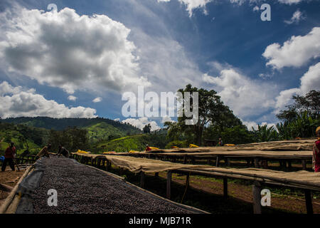 Vue sur le moulin à café Suke Quto Shakiso, près de l'Éthiopie, Banque D'Images