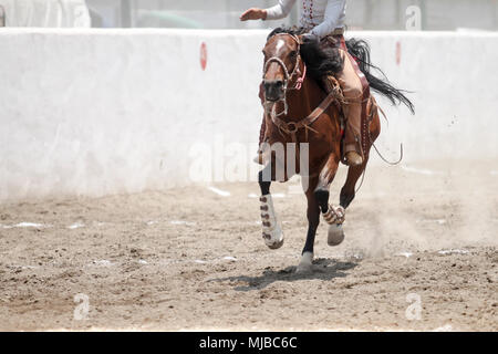 Un mexicain charro équitation vite son cheval dans la terre Banque D'Images