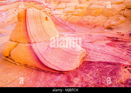 Roche de grès avec violet et or les couleurs de grès avec rayures de couleur semblable au Sud Coyote Buttes Vermilion Cliffs National Monument Arizona Banque D'Images