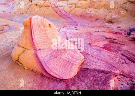 Roche de grès avec violet et or les couleurs de grès avec rayures de couleur semblable au Sud Coyote Buttes Vermilion Cliffs National Monument Arizona Banque D'Images