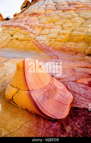 Roche de grès avec violet et or les couleurs de grès avec rayures de couleur semblable au Sud Coyote Buttes Vermilion Cliffs National Monument Arizona Banque D'Images