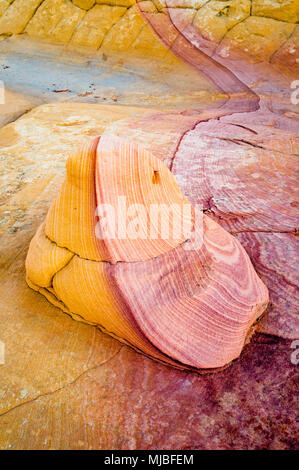 Roche de grès avec violet et or les couleurs de grès avec rayures de couleur semblable au Sud Coyote Buttes Vermilion Cliffs National Monument Arizona Banque D'Images