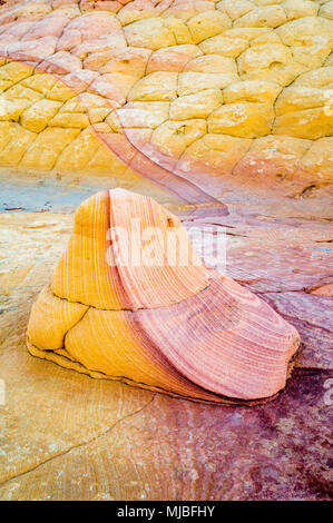 Roche de grès avec violet et or les couleurs de grès avec rayures de couleur semblable au Sud Coyote Buttes Vermilion Cliffs National Monument Arizona Banque D'Images