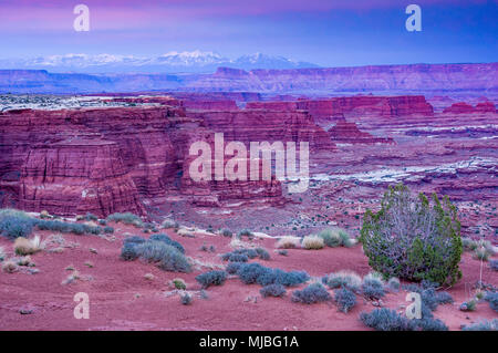 Twilight voir des formations rocheuses de crack blanc camping domaine le long de la jante blanc Road Island in the Sky District de Canyonlands National Park, en Utah. Banque D'Images