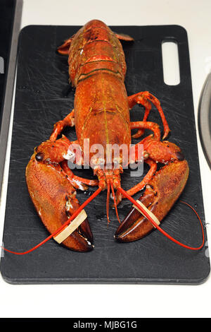 Grande Planche à découper le homard cuit à Banque D'Images