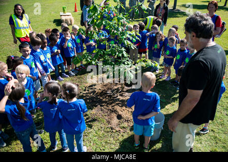 Les enfants de Moody's child development centre cercle autour d'un arbre de chêne nouvellement plantés au cours de jour de l'arbre, le 27 avril 2018, à Moody Air Force Base, Ga. Moody annuellement célèbre la maison de vacances qui encourage les avantages de la plantation d'arbres. Depuis 19 ans, la base a été une partie de l'arborescence City USA Programme par le National Arbor Day Foundation, afin de mieux se préparer pour l'avenir de s'occuper de leurs aviateurs, grâce à l'amélioration de la durabilité écologique. (U.S. Air Force photo par un membre de la 1re classe Erick Requadt) Banque D'Images