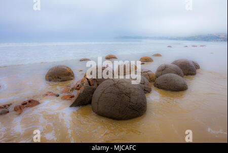 Moeraki Boulders, un célèbre monument dans la Nouvelle-Zélande, île du sud Banque D'Images