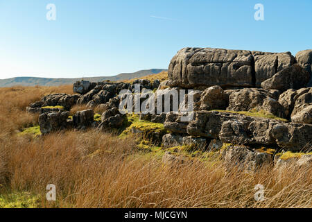 Image paysage d'Runscar Cicatrice sur Blea Moor près de Ribblehead dans le Parc National des Yorkshire Dales, Yorkshire, Angleterre. 19 avril 2018 Banque D'Images