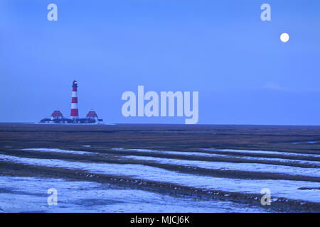 Allemagne, Schleswig - Holstein, côte de la mer du Nord, Frise du Nord, péninsule Eiderstedt, Büsum, Westerheversand, Schleswig-Holstein mer des Wadden Parc National, près de St.-Peter-Ording, Banque D'Images