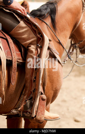 Fermer jusqu'à un regard détaillé à un charro mexicain des vêtements traditionnels, charro, charreada Banque D'Images