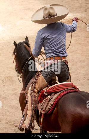 Charro mexicain effectuant un tour à cheval avec lasso Banque D'Images