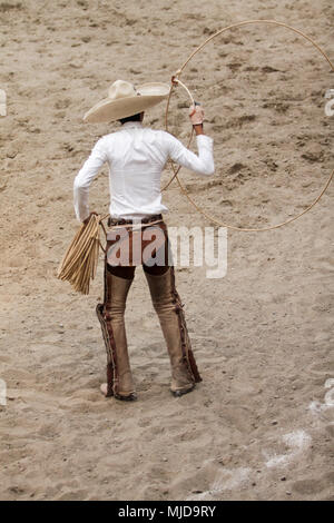 Charro mexicain d'effectuer dans une charreada, charreria, Mexican Hat Banque D'Images