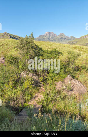 Un pont piétonnier sur un sentier de randonnée au bord des moines dans le Drakensberg. Cathedral Peak (à gauche) et les moines (tableau de droite) sont visibles à l'arrière Banque D'Images