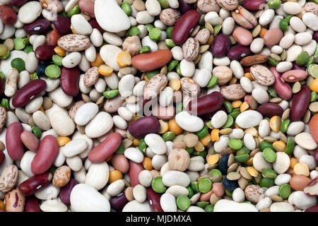 La vie encore de variétés de haricots secs : Northern, pinto, pois verts, Haricots, canneberge, petit blanc, petit rouge, jaune aux pois cassés, lentilles, Marine, Wh Banque D'Images
