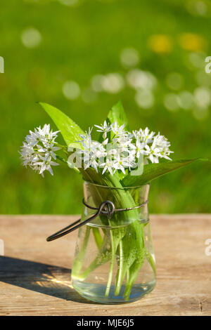 Petit vase en verre vintage, vent léger avec une bande d'ail sauvage Fleurs et feuilles de l'ail sauvage dans le jardin - Nature morte au printemps Banque D'Images