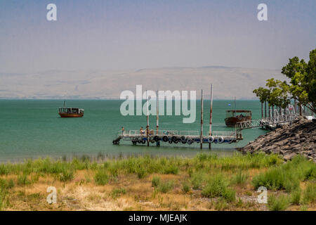 La côte de la mer de Galilée, près de l'église de la primauté de Saint Pierre, Tabgha, Israël. Banque D'Images