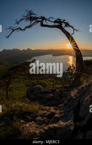 L'humeur du soir à Kienstein sur le lac Kochelsee (Kochel), fermer Kochel, vue d'Italia (montagne), Préalpes bavaroises, Bavière, Allemagne Banque D'Images
