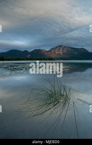 Vue depuis le Kochelsee Schlehdorf plus (Lac Kochel) à l'Jochberg dans la soirée, à proximité Kochel, Haute-Bavière, Bavière, Allemagne Banque D'Images