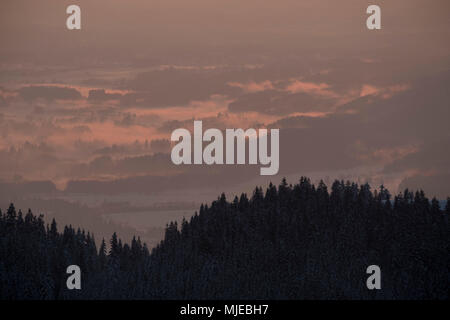 Matin sur le Zwiesel en vue de la vallée en hiver, fermer Bad Tölz, Alpes bavaroises, Bavière, Allemagne Banque D'Images