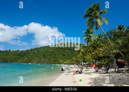 Magens Bay Beach, St Thomas, Îles Vierges Britanniques Banque D'Images