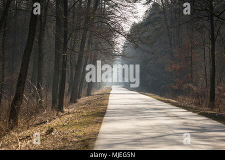 L'Europe, Pologne, Podlaskie Voivodeship, Carska Road Banque D'Images