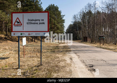 L'Europe, Pologne, Podlaskie Voivodeship, Carska Road Banque D'Images