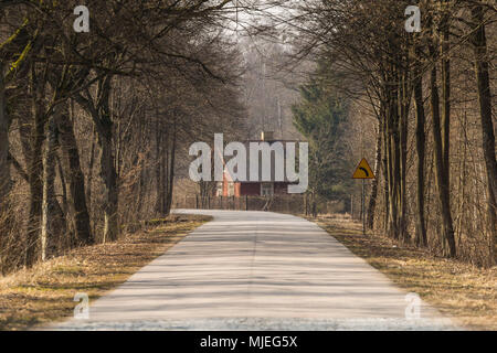 L'Europe, Pologne, Podlaskie Voivodeship, Carska Road Banque D'Images