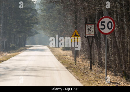 L'Europe, Pologne, Podlaskie Voivodeship, Carska Road Banque D'Images