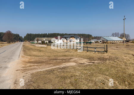 L'Europe, Pologne, Podlaskie Voivodeship, Carska Road - Dobarz Banque D'Images