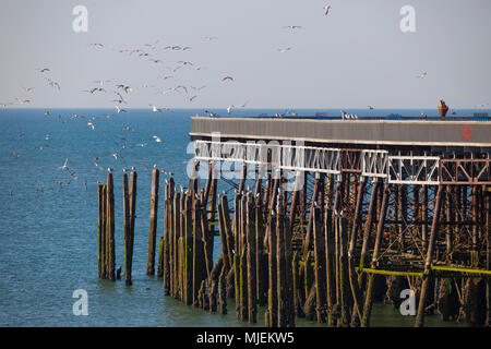 Hastings, East Sussex, UK. 5 mai, 2018. UK : Météo à démarrage à chaud le matin à Hastings, East Sussex avec des températures dans certaines régions du pays, dépassant 20°C. © Paul Lawrenson, 2018 Crédit photo : Paul Lawrenson / Alamy Live News Banque D'Images