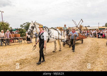 La fête de la Moisson Saint-calais Sarthe France fête agricole dans laquelle les agriculteurs montrent leur passé et présent mode de vie agricole. Banque D'Images
