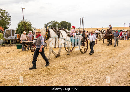 La fête de la Moisson Saint-calais Sarthe France fête agricole dans laquelle les agriculteurs montrent leur passé et présent mode de vie agricole. Banque D'Images