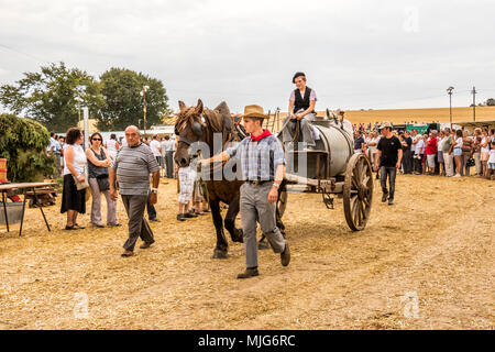 La fête de la Moisson Saint-calais Sarthe France fête agricole dans laquelle les agriculteurs montrent leur passé et présent mode de vie agricole. Banque D'Images