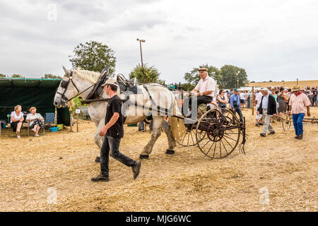 La fête de la Moisson Saint-calais Sarthe France fête agricole dans laquelle les agriculteurs montrent leur passé et présent mode de vie agricole. Banque D'Images