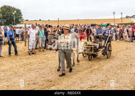 La fête de la Moisson Saint-calais Sarthe France fête agricole dans laquelle les agriculteurs montrent leur passé et présent mode de vie agricole. Banque D'Images