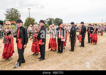La fête de la Moisson Saint-calais Sarthe France fête agricole dans laquelle les agriculteurs montrent leur passé et présent mode de vie agricole. Banque D'Images