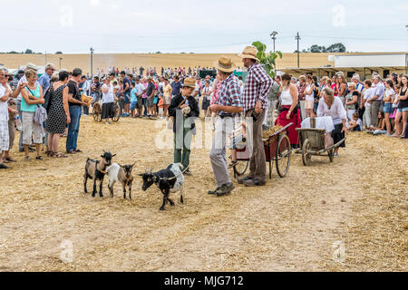 La fête de la Moisson Saint-calais Sarthe France fête agricole dans laquelle les agriculteurs montrent leur passé et présent mode de vie agricole. Banque D'Images