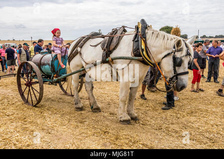 La fête de la Moisson Saint-calais Sarthe France fête agricole dans laquelle les agriculteurs montrent leur passé et présent mode de vie agricole. Banque D'Images