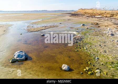 Kapelludden sur Oland, Sweden. De petites flaques d'eau à la plage de sable. Banque D'Images