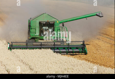 Botkyrka, Suède - 24 août 2016 : vue frontale d'une moissonneuse-batteuse verte fabriqué par John Deere de céréales La récolte de l'avoine. Banque D'Images