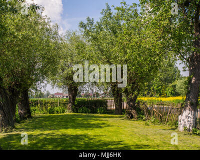 Jardin de printemps dans le village entouré de saules pleureurs Banque D'Images