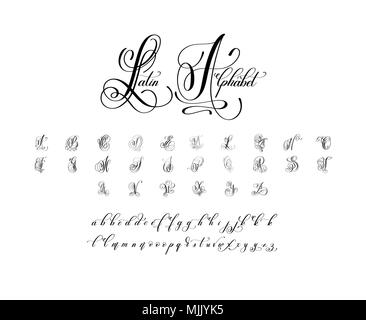 De luxe à la main design de l'alphabet latin Illustration de Vecteur