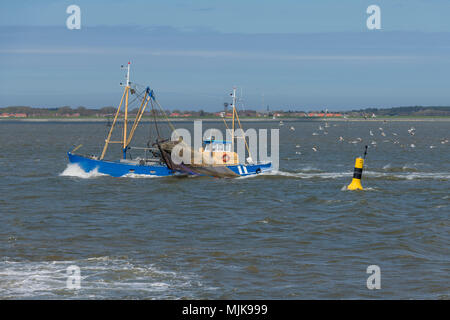 Bateau de pêche commerciale de la crevette sur la mer des Wadden, protégée par l'UNESCO, près de l'île Ameland dans le nord des Pays-Bas Banque D'Images