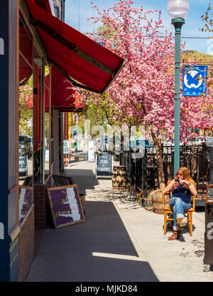 Propriétaire de Eye Candy ; magasin de détail ; se situe sous le Japonais cerisier en pleine floraison printanière ; Prunus serrulata ; sakura ; ; ; USA Colorado Salida Banque D'Images