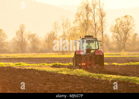 Agriculteur labourant le sol au coucher du soleil dans la saison du printemps Banque D'Images