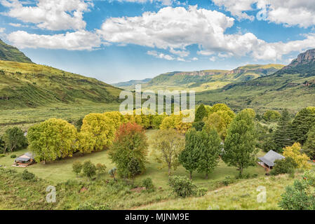 INJISUTHI, AFRIQUE DU SUD - le 19 mars 2018 : Le camp de repos, entre les arbres en automne couleur, à Injisuthi dans le Parc du Drakensberg maloti. Les chalets sont visib Banque D'Images