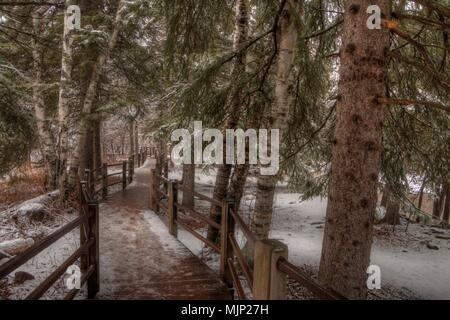 Gooseberry Falls State Park, Minnesota, Rive nord du lac Supérieur en hiver Banque D'Images