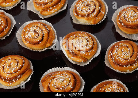 Brioches à la cannelle dans des boîtes de papier sulfurisé sur une plaque de cuisson. Banque D'Images